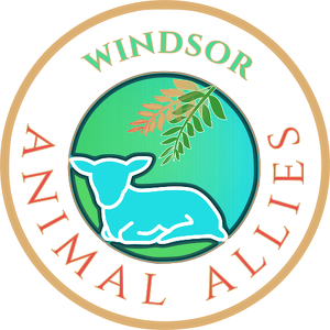 Fundraising Page: Windsor Animal Allies
